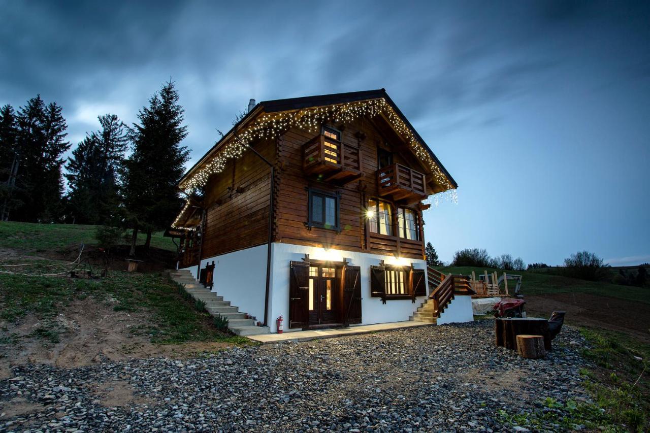 Tulean Cabin Bed & Breakfast Săcel Exterior foto