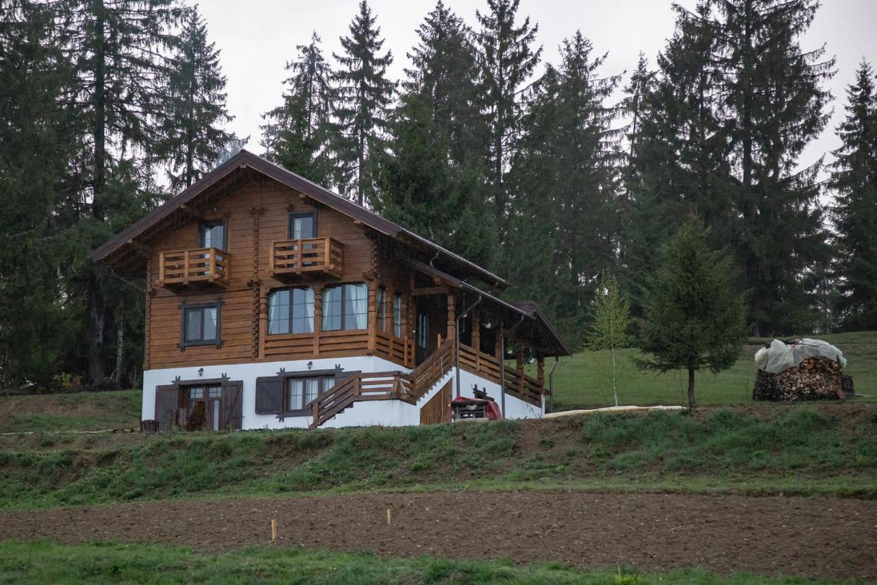 Tulean Cabin Săcel Exterior foto