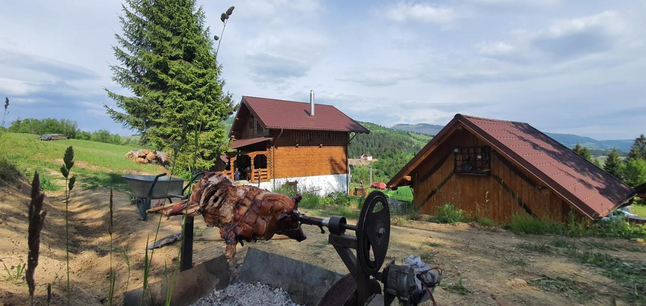 Tulean Cabin Bed & Breakfast Săcel Exterior foto